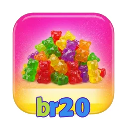 br20